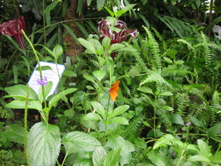IMG_0926.JPG