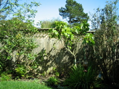 IMG_6311.JPG