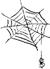 web