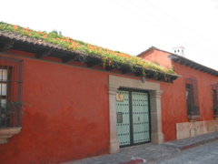IMG_1675.JPG