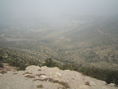 IMG_3313.JPG